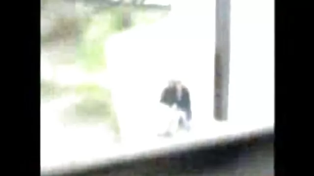 A ponófilmek macska tele van teljesen