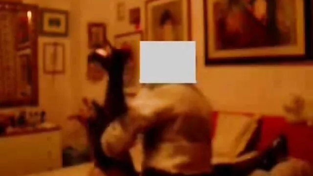 Van egy fehér magyarul beszélő pornó fiú, egy fekete csavar
